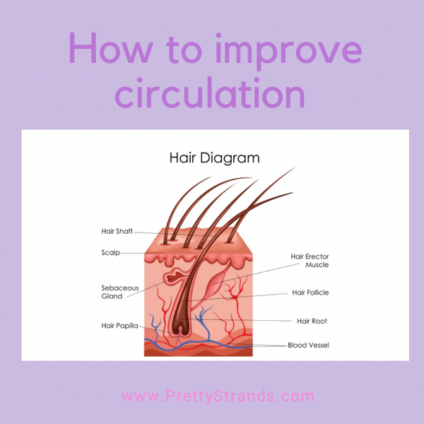 Circulation for hair growth